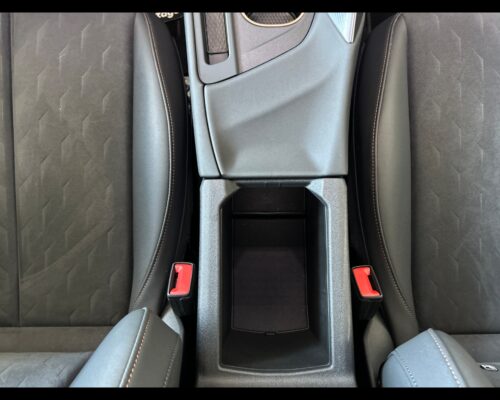 Cupra Terramar Terramar 1.5 Hybrid DSG - immagine 41