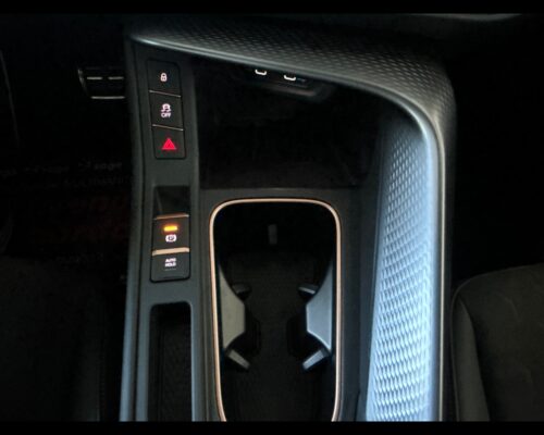Cupra Terramar Terramar 1.5 Hybrid DSG - immagine 12