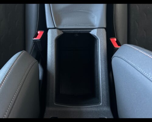 Cupra Terramar Terramar 1.5 Hybrid DSG - immagine 49