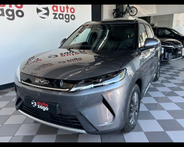Byd Atto 2 dm-i Atto 2 DM-i 1.5 212 CV PHEV Boost