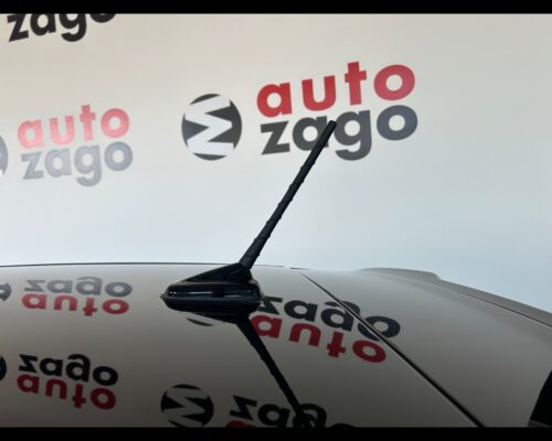 Volkswagen Polo Polo 2.0 TSI DSG GTI - immagine 21