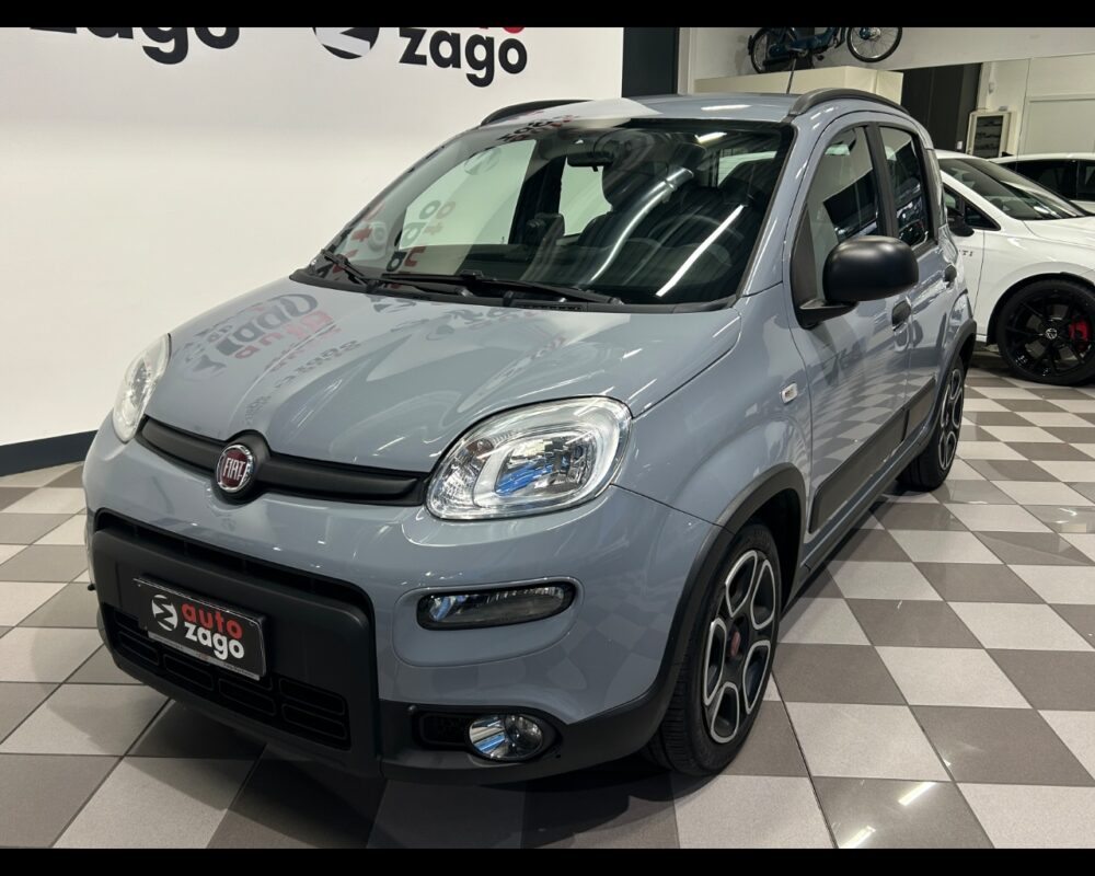 Fiat Panda 3ª serie Panda 1.0 FireFly S&S Hybrid City Life