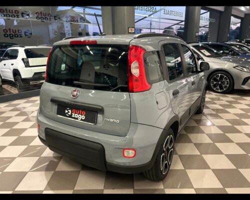 Fiat Panda 3ª serie Panda 1.0 FireFly S&S Hybrid City Life - immagine 5