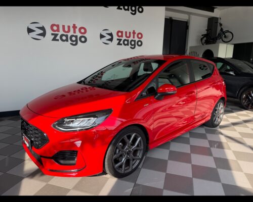 Ford Fiesta 7ª serie - Fiesta 1.0 Ecoboost Hybrid 125 CV DCT 5 po - immagine 24